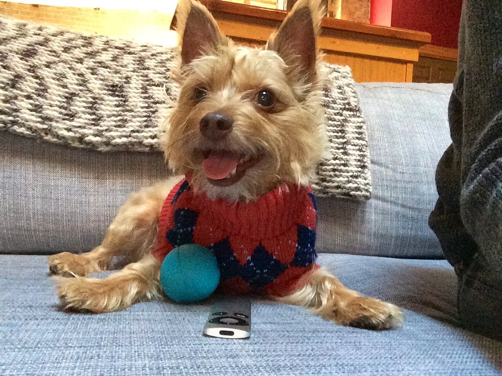 Samson
