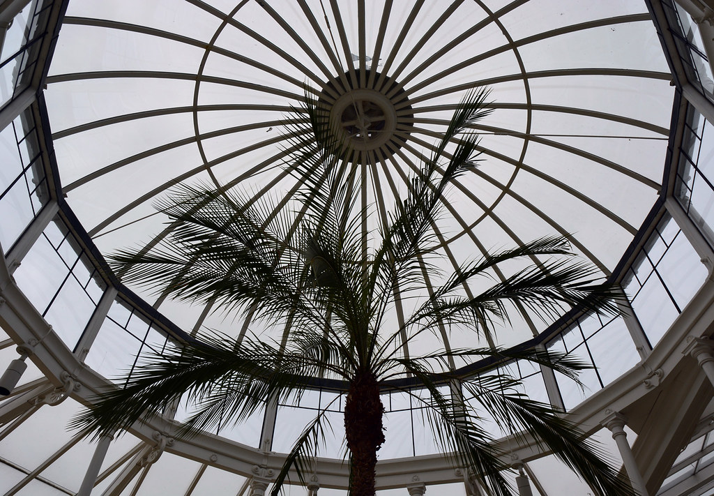 Chiswick House / Conservatory dome