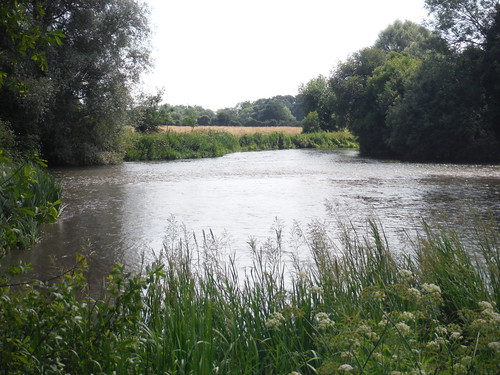 River Test, Houghton SWC Walk 265 - Dean to Mottisfont and Dunbridge 