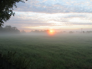 Early morning West Norfolk