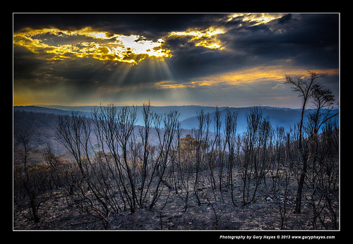 aftermath sydney australia bluemountains bushfire grossvalley