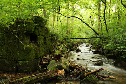 Hike To Cascade Falls by ndelfrai, The waterfall upstream is what feeds the famous George Dickel Distillery. Normandy, Tennessee.longex