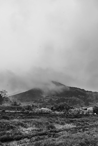 Fogs on Mountain | by gyutaekc