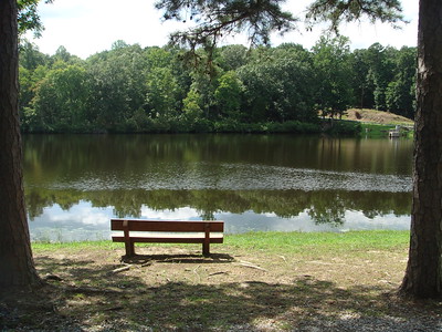 photo of lake in summer