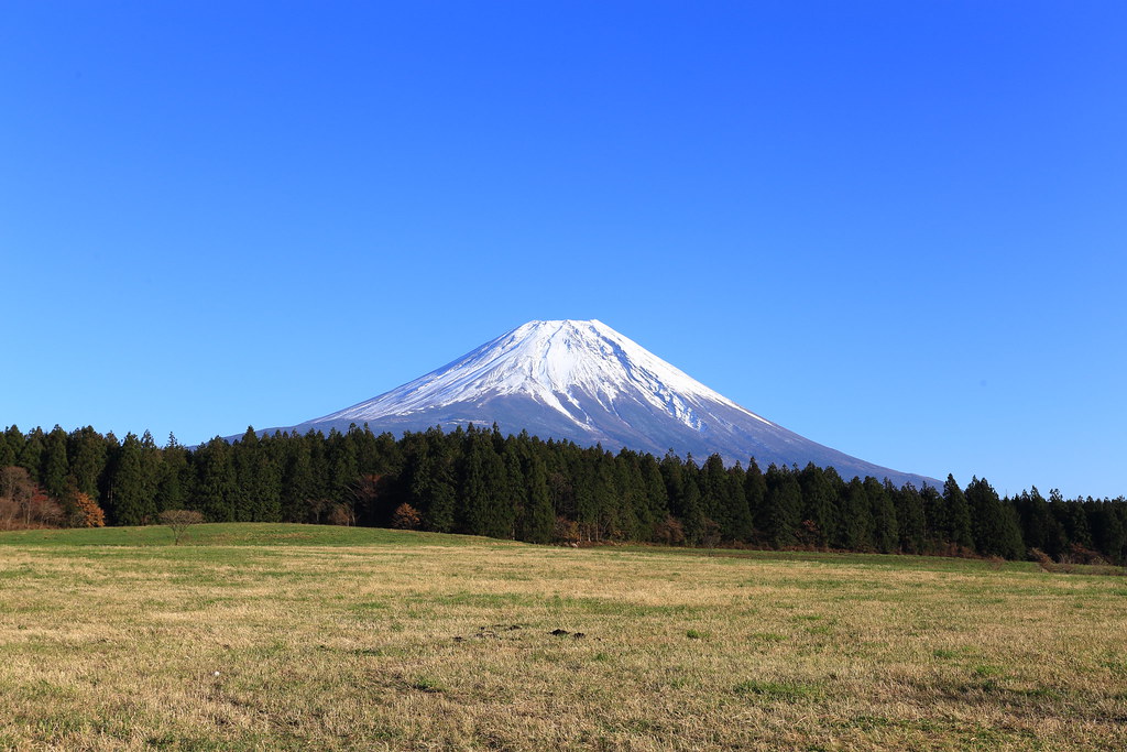 mount fuji