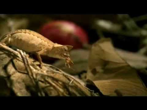 День космических историй «Лаборатория древних богов» | by vasyap2015