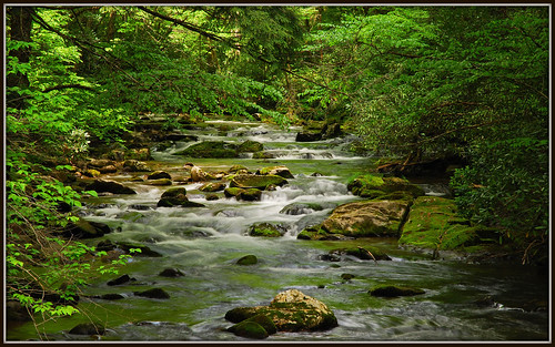 mountains river nc moss rocks parks northcarolina waterblur greatsmokymountainsnationalpark gsmnp oconalufteeriver tripodphotography ndx8filter nikkor1685vr