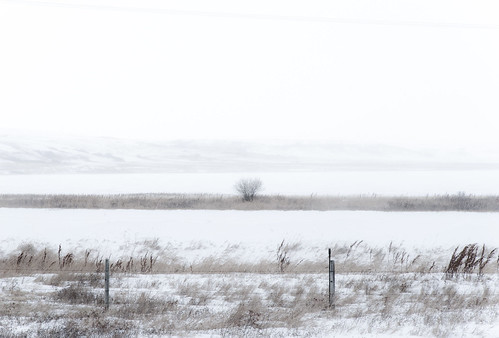 winter white canada cold landscape snowy windy lonely prairie saskatchewan icy frigid blown