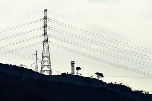 Electrifying! | by RosalinaPhotography