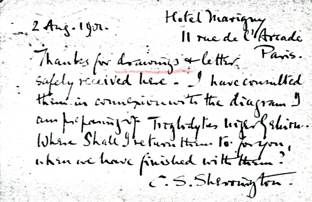 Sherrington to Cushing - 2 August 1901 (WCG 32.2) 2/2