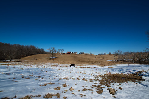 blue winter sky house snow ed cow md nikon farm country maryland darlington afs d800 f28g 1424mm nikond800 bkushner nikon1424mmf28gedafs
