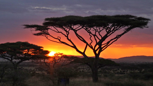 africa sunset tree clouds tanzania africa2012