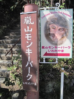 This Way to Monkeys | by vlnjodie