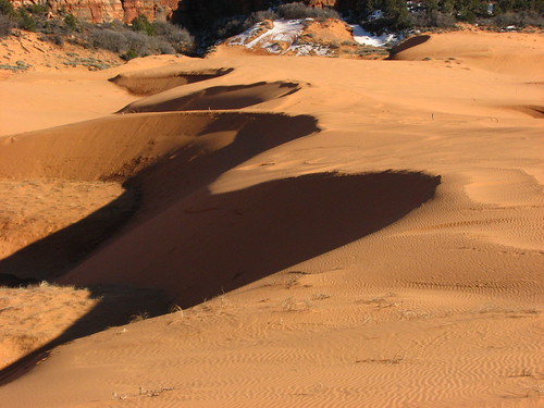 Sand Dunes 059 | by Chandler West