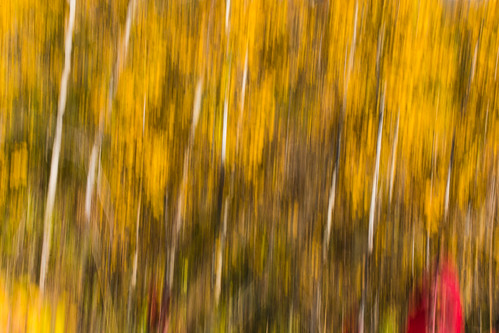 longexposure autumn ontario abstract motion blur fall yellow nikon peterborough icm transcanadatrail d7100 intentionalcameramovement coloul