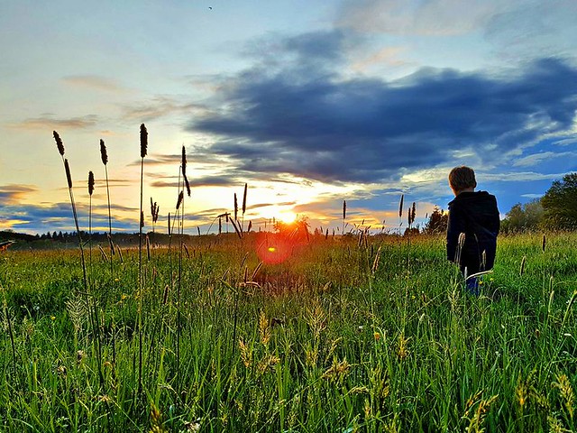 Peaceful Nature #benheinephotography #nature #countryside #ownthetwilight #nofilter #picoftheday #photoaday #beauty #sunset #theo #boy #child #peace #peaceful #sky #clouds #field #sun #walk
