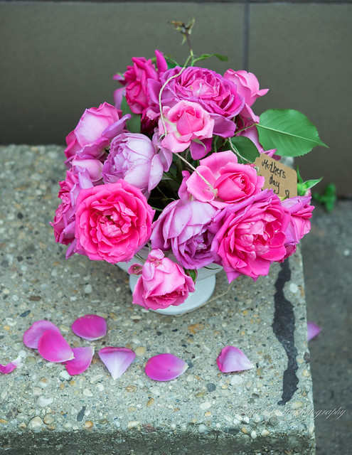 Beautiful pink roses bouquet