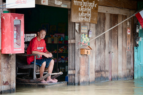 people man tree nature water shopping thailand flood disaster prachinburi simahaphot