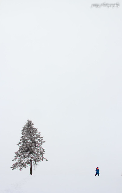 snow tree and photographer