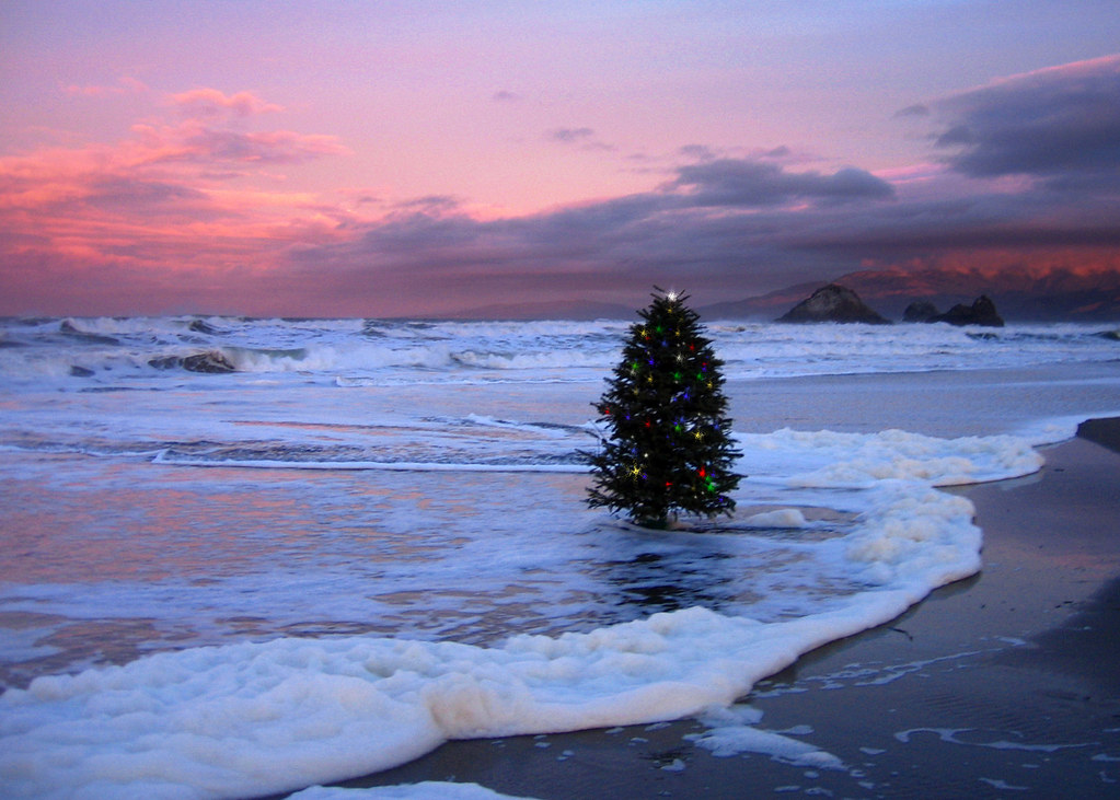 happy-holidays-from-ocean-beach-sf-chuck-revell-flickr