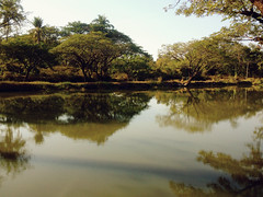 Vientiane Wetland