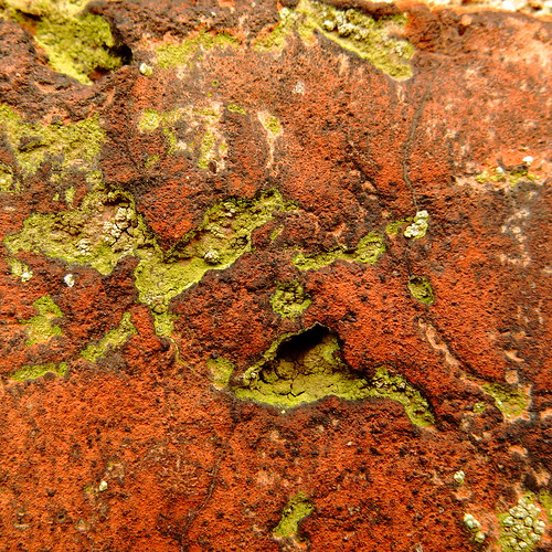 macrotextures flickrphotowalk macromondays brick redbrick lichen surface texture textures texturesquared red green weathered decay 500x500 vertblu complementarycontrast yellowishgreen abstract abstrakt abstraction makro macro aglitchinthesystemanabstractviewofdailylife oppositecolours