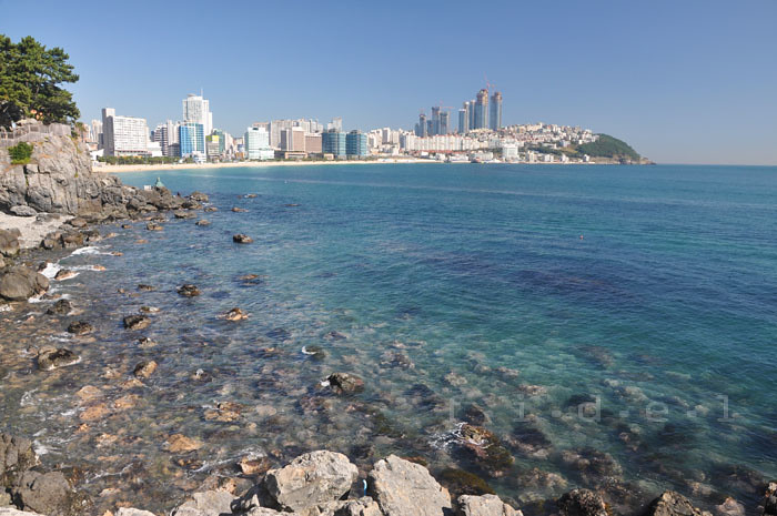 Haeundae Beach View From Songnim Park Busan Fidel2012