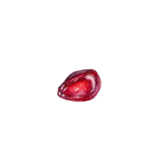Pomegranate seed