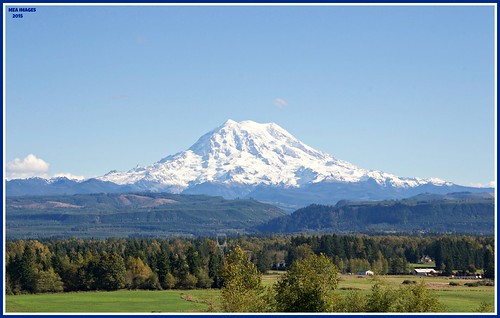 trees mountains nature canon hills wa washingtonstate mtrainier graham picmonkey:app=editor