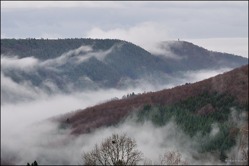 mist mountain nature montagne landscape nikon tamron paysages brouillard vosges brume d90 sp70300divcusd