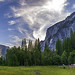 Panoramic View of Yosemite National Park