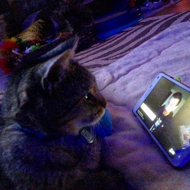 Squeaky was very interested in Josh's Tangerine Dream music @jrt_show
