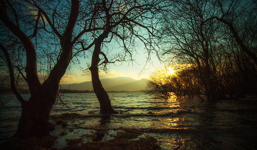 park trees winter england sky sun mountain lake snow cold water contrast sunrise golden cool lomo nikon scenery waves flood district hill january scenic sigma windy national cumbria fells swollen 1020mm northern effect 1020 capped keswick skiddaw d60 10mm cockermouth bassenthwaite