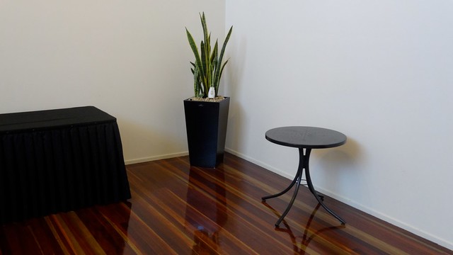 Plant and table