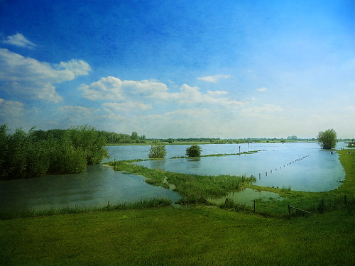 holland nature water netherlands dutch landscape flood nederland wijkbijduurstede