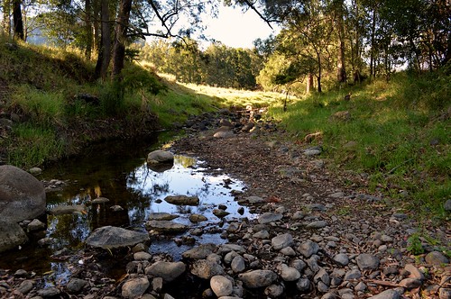 water creek reflections landscape countryside stream australia sequeensland loganvalley creekscape palencreek