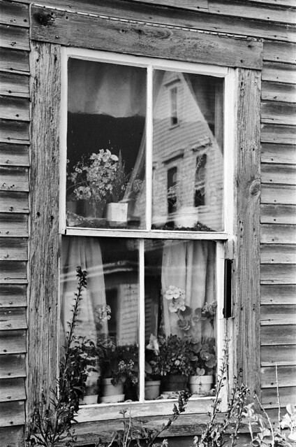 Reflections of homes in windows, Monhegan Island, Maine