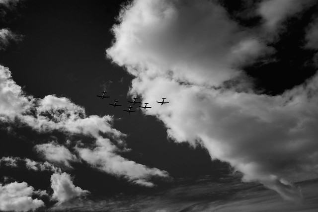 Roulettes over Hobart (2014)