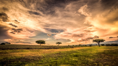 Atardecer en Huasca by Ramon Borquez, sunset méxico clouds landscape atardecer three paisaje nubes árbol hdr hidalgo huasca huascadeocampo