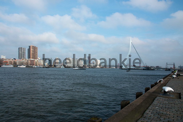 Rotterdam0079
