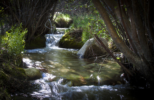 Revival & Refreshment: Hogback Creek Oasis