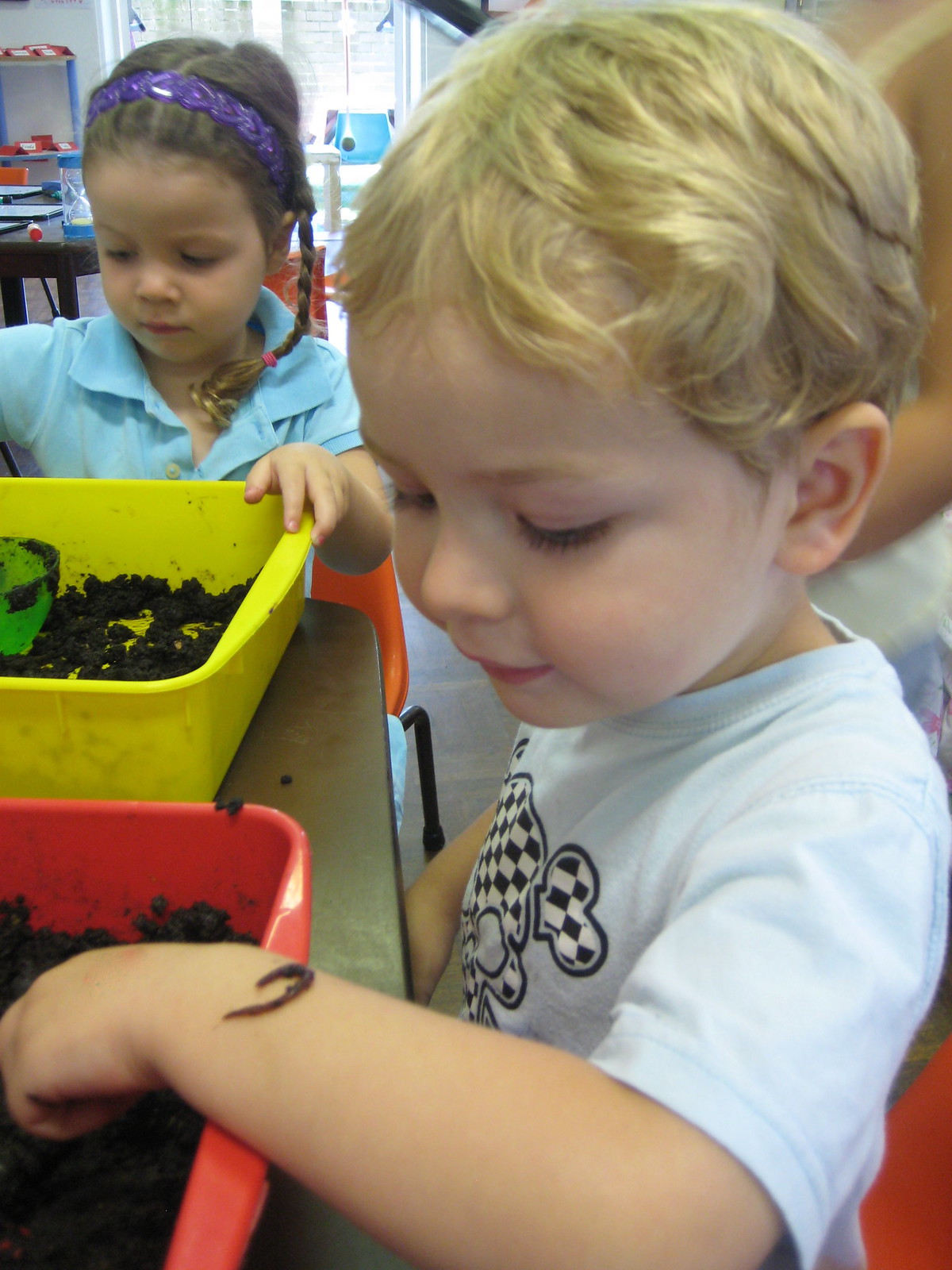 studying worms from our worm farm