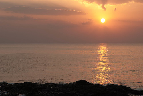 sea water sunrise newyear shore hyuuga