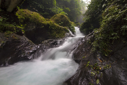 bali forest river indonesia landscape photography waterfall stream tour jungle guide gitgit buleleng baliphotography balitravelphotography baliphotographytour baliphotographyguide
