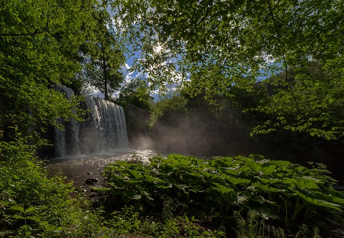 plants sun sunlight green water fog forest waterfall nikon bulgaria d750 14mm samyang pancharevo nikond750