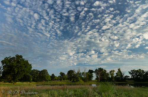 flowers trees summer sky nature water field leaves clouds canon landscape outdoors morninglight pond cloudy july overcast 7d cloudysky buschwildlife canon7d canon1585mmlens