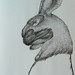 "Máscara de Homem Lebre!?"./"Hare Man's Mask!?". Caneta sobre papel/Pen on paper, 2005.