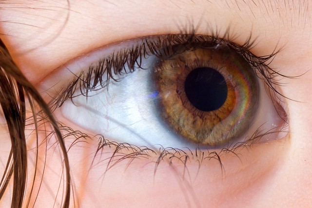 Her Eye