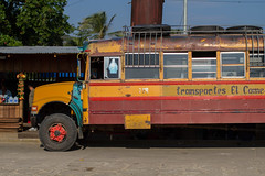 Rosita Chicken Bus