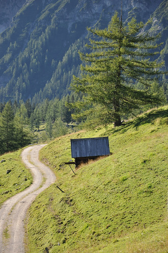 road travel summer house mountain mountains alps tree green nature austria österreich nikon europe natural outdoor hiking hill hike hut alpine alm alpen idyll dachstein idyllic wandern steiermark austrian styria ramsau d90